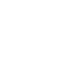 ninja one